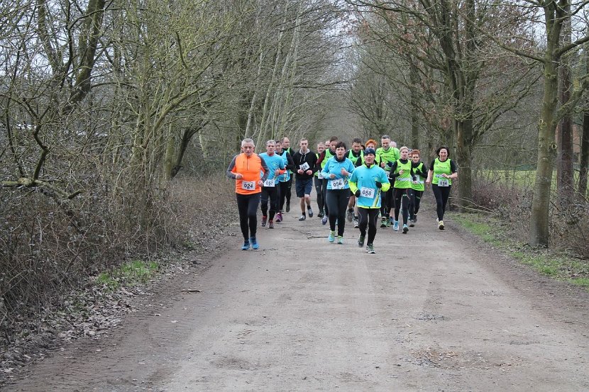 Bosloop Brecht - 41